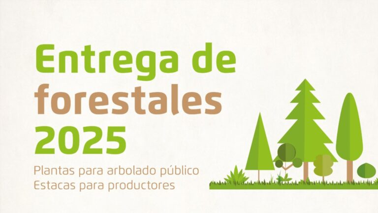 Vecinos de Alvear ya pueden inscribirse para retirar árboles y cortinas forestales