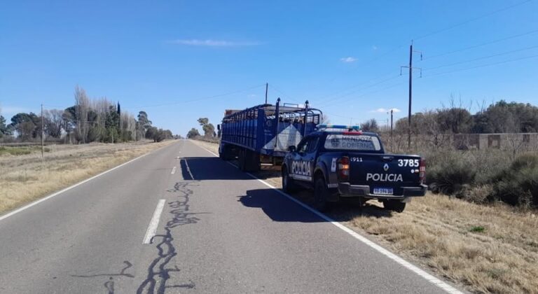 Nuevo operativo en General Alvear: la Policía Rural incautó más animales por trasladado irregular