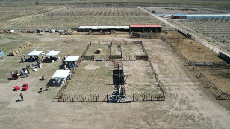 Inauguraron el Corral del Estado en General Alvear