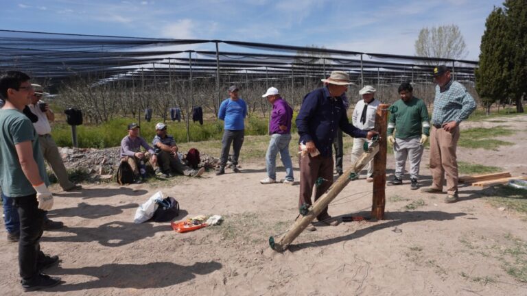 Capacitación en oficios: se realizó un curso de alambradores en Bodega Faraón