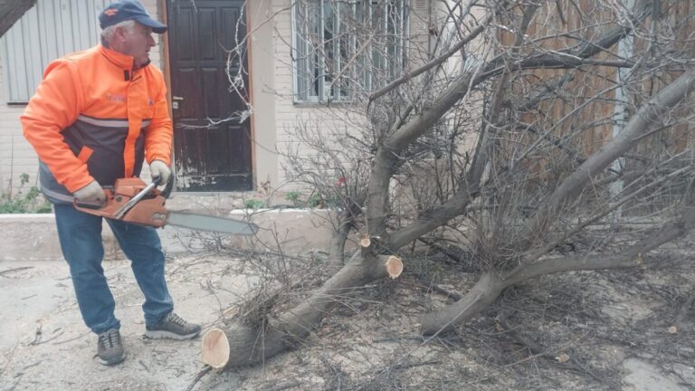La tormenta pasó sin mayores complicaciones por General Alvear