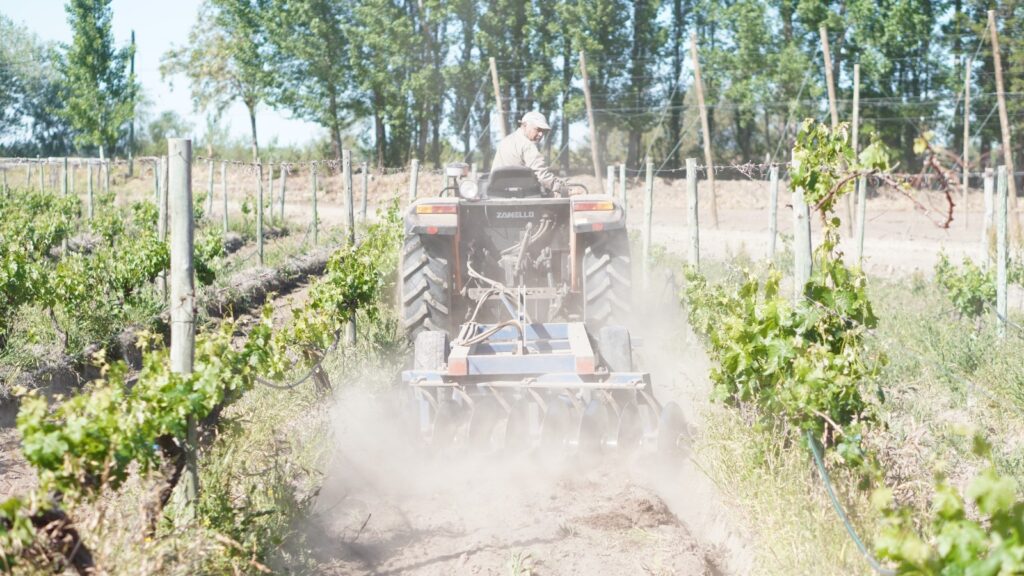 Tercera jornada de capacitación en riego agrícola en la Finca Modelo de Bodega Faraón