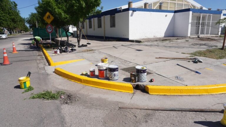 Operativo de limpieza y mejoras en el barrio Irrigación