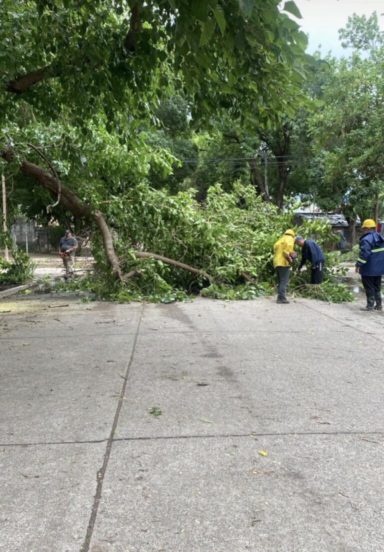 Balance de la tormenta del miércoles y recomendaciones para los próximos días