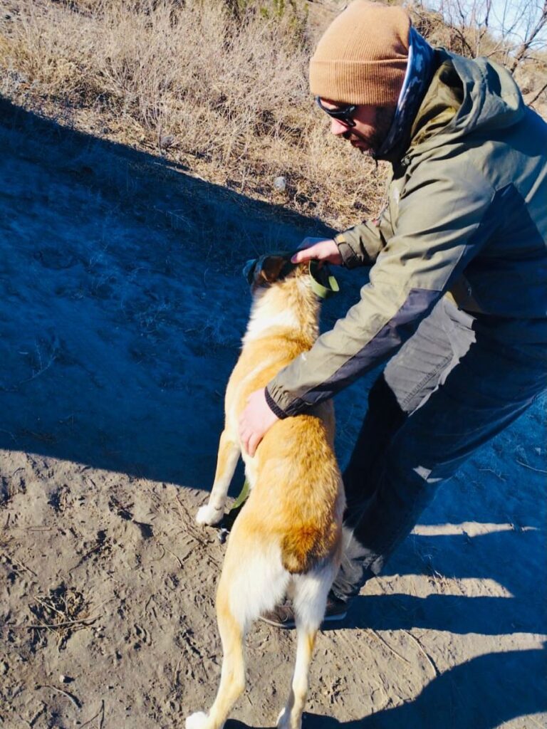 Operativo de castración para controlar la sobrepoblación animal en la zona de las piletas de tratamiento