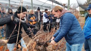 Productores participaron de una jornada técnica vitícola en General Alvear