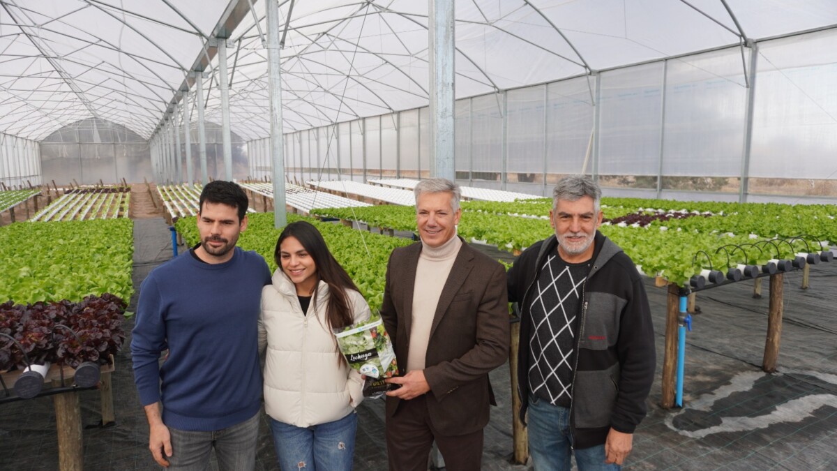 Molero recorrió un emprendimiento hidropónico que impulsa la diversificación productiva