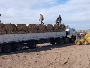 General Alvear recuperó 24 toneladas de cartón para su reutilización